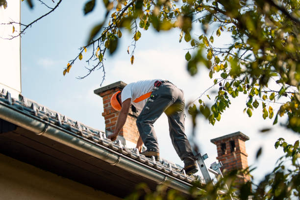 Best Roof Leak Repair  in Camden, OH