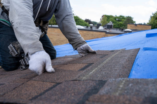 Best New Roof Installation  in Camden, OH