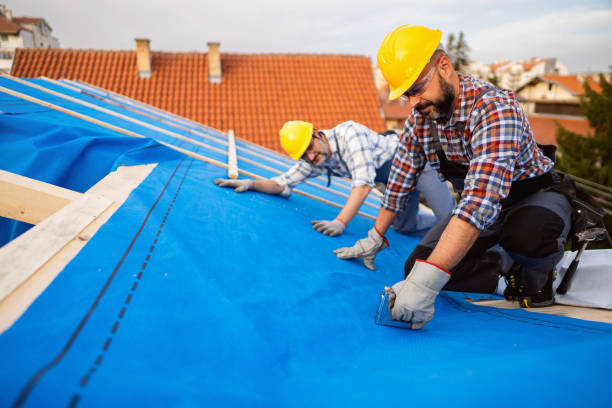 Best Sealant for Roof  in Camden, OH