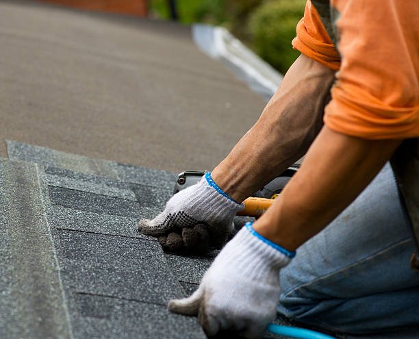 Best Roof Waterproofing Services  in Camden, OH