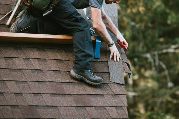 Best Roof Maintenance Services  in Camden, OH